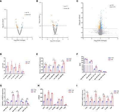 Transcriptome analysis of differentially expressed circRNAs miRNAs and mRNAs during the challenge of coccidiosis